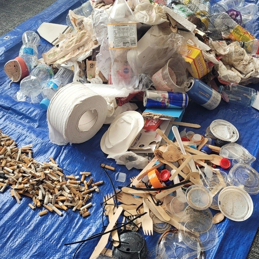 Microplastic found